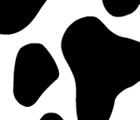 qq̬ͷ